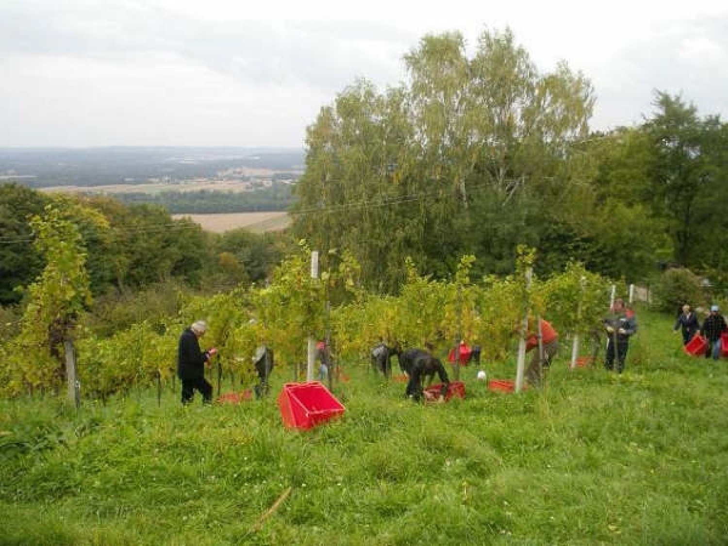 po kosilu pa spet veselo na delo !