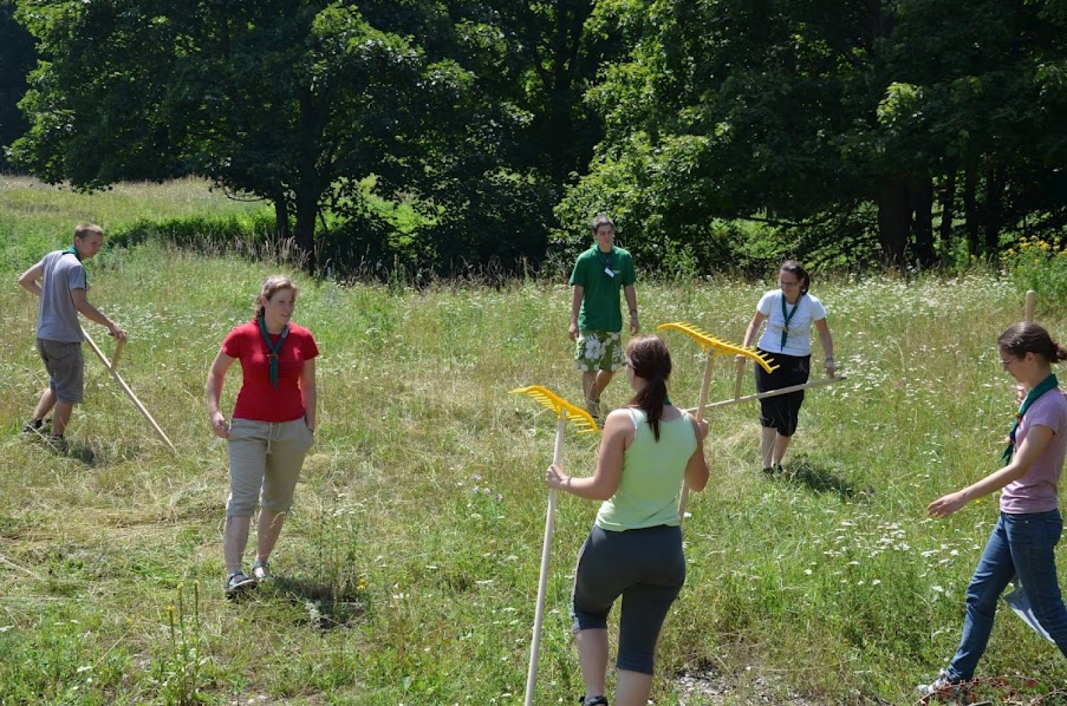 Preklopi na pravi signal!