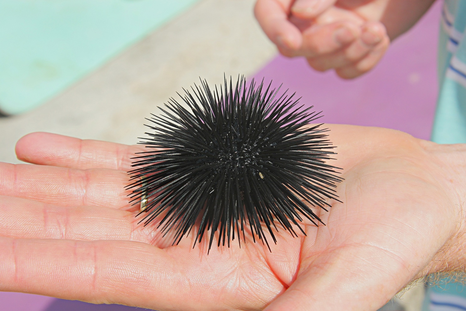 K sreči ga ni nihče pohodil