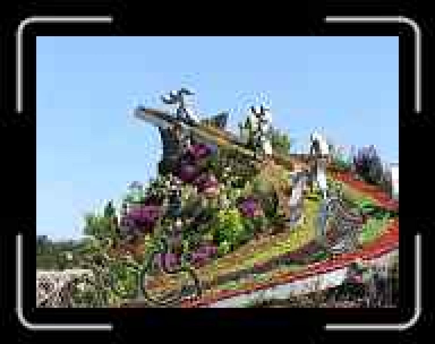 paraolimpiada Peking