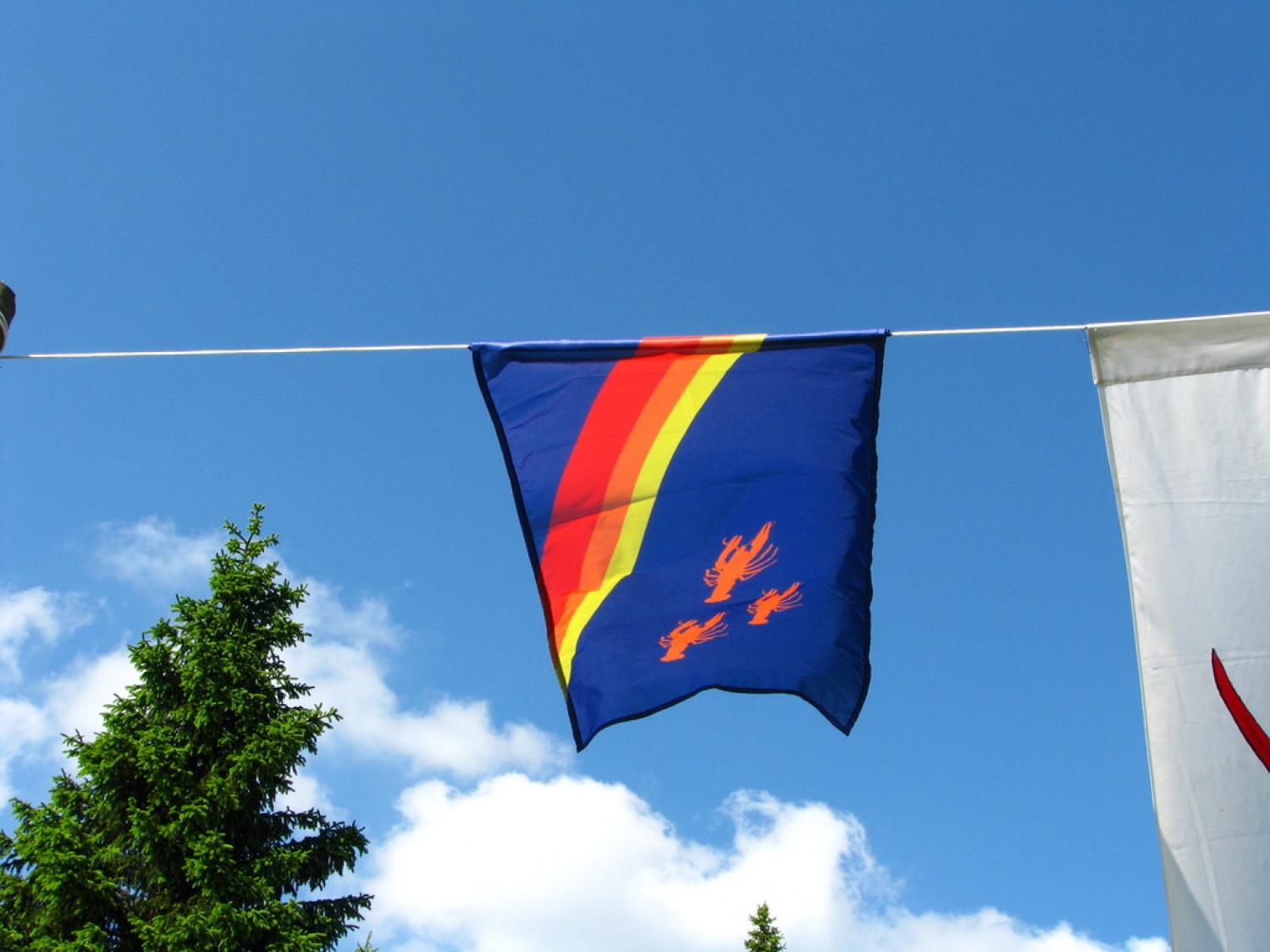 Skavti vir navdiha za preprosto življenje (VIDEO, FOTO)