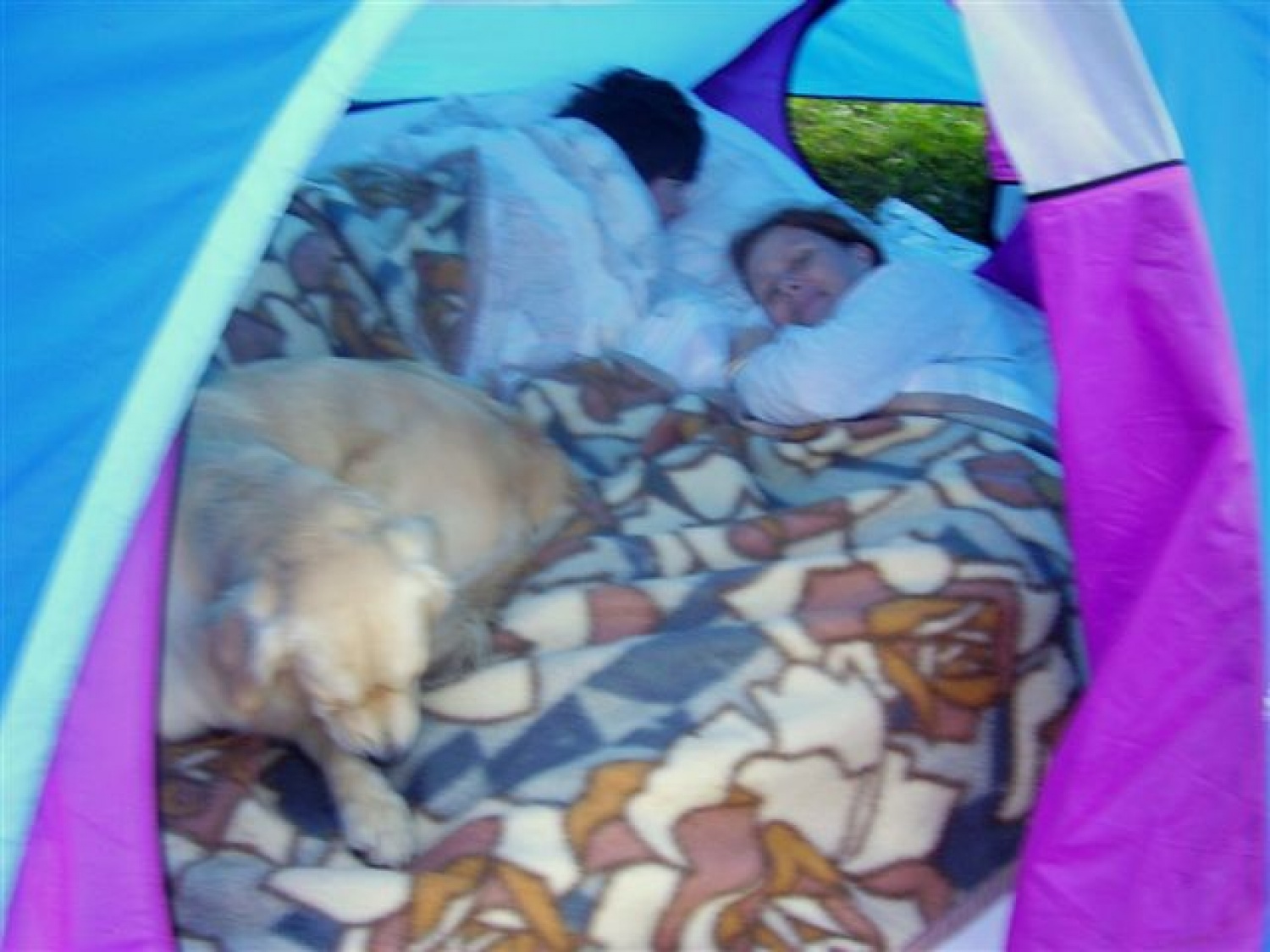 Čeprav je bilo kratko, je bilo veselo in zanimivo.