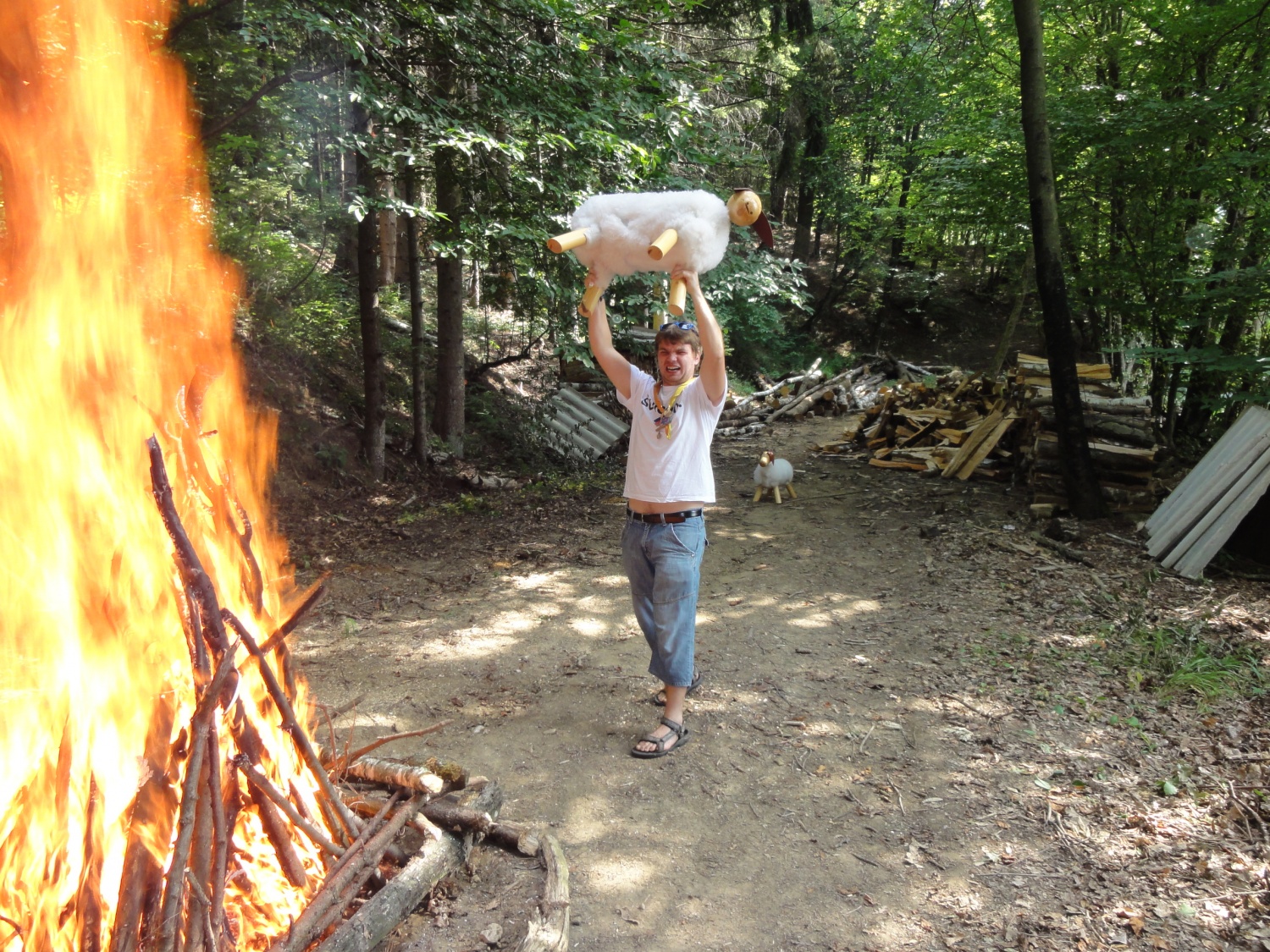 Nekaj je v zraku ...