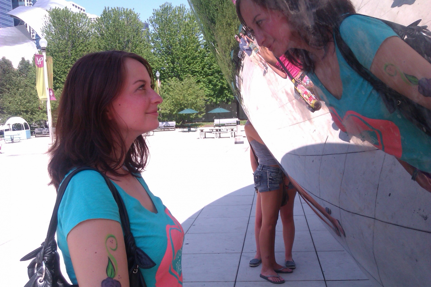 600 različnih rutk v Chicagu