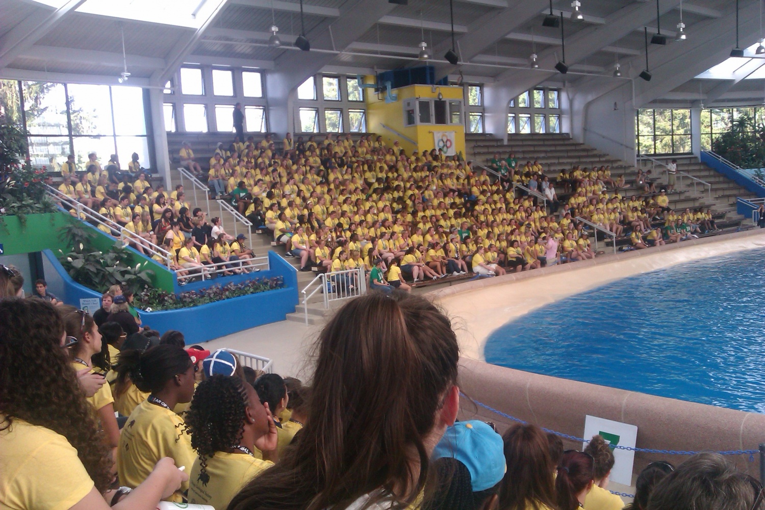 600 različnih rutk v Chicagu