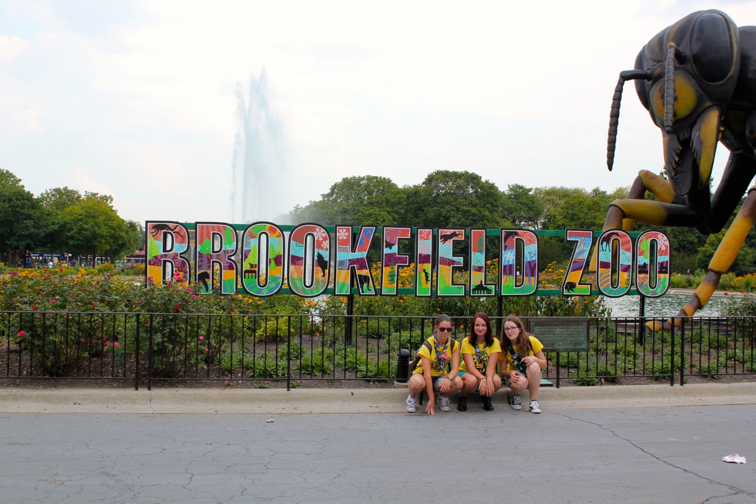 600 različnih rutk v Chicagu