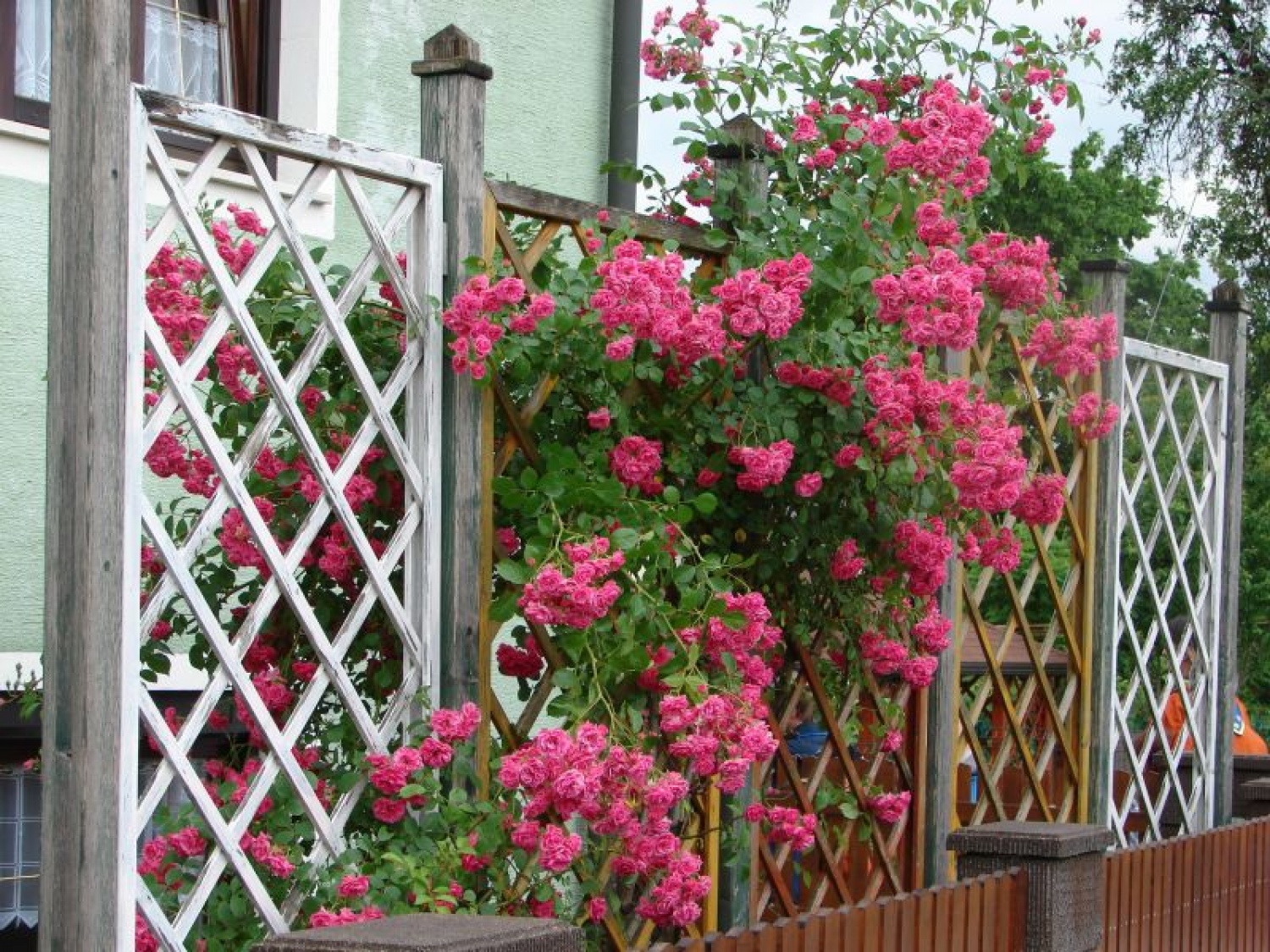 srečanje na Golovcu