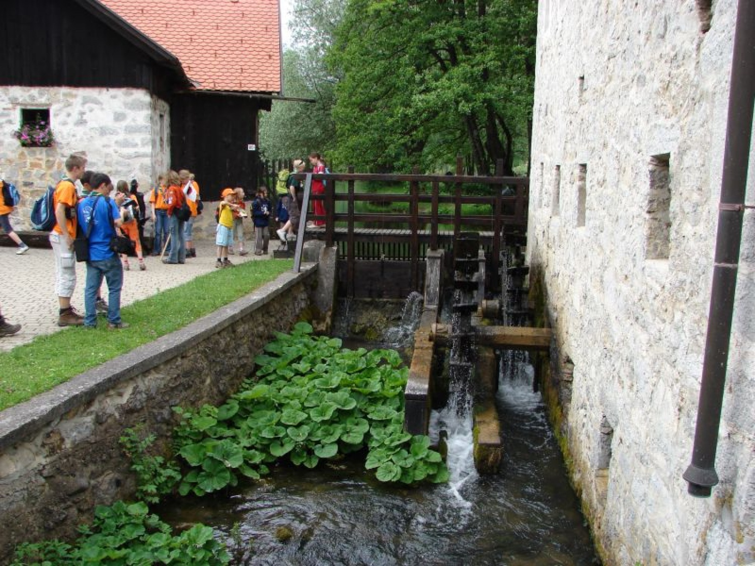 Sozvočje narave, kulture, Trubarja in skavtov