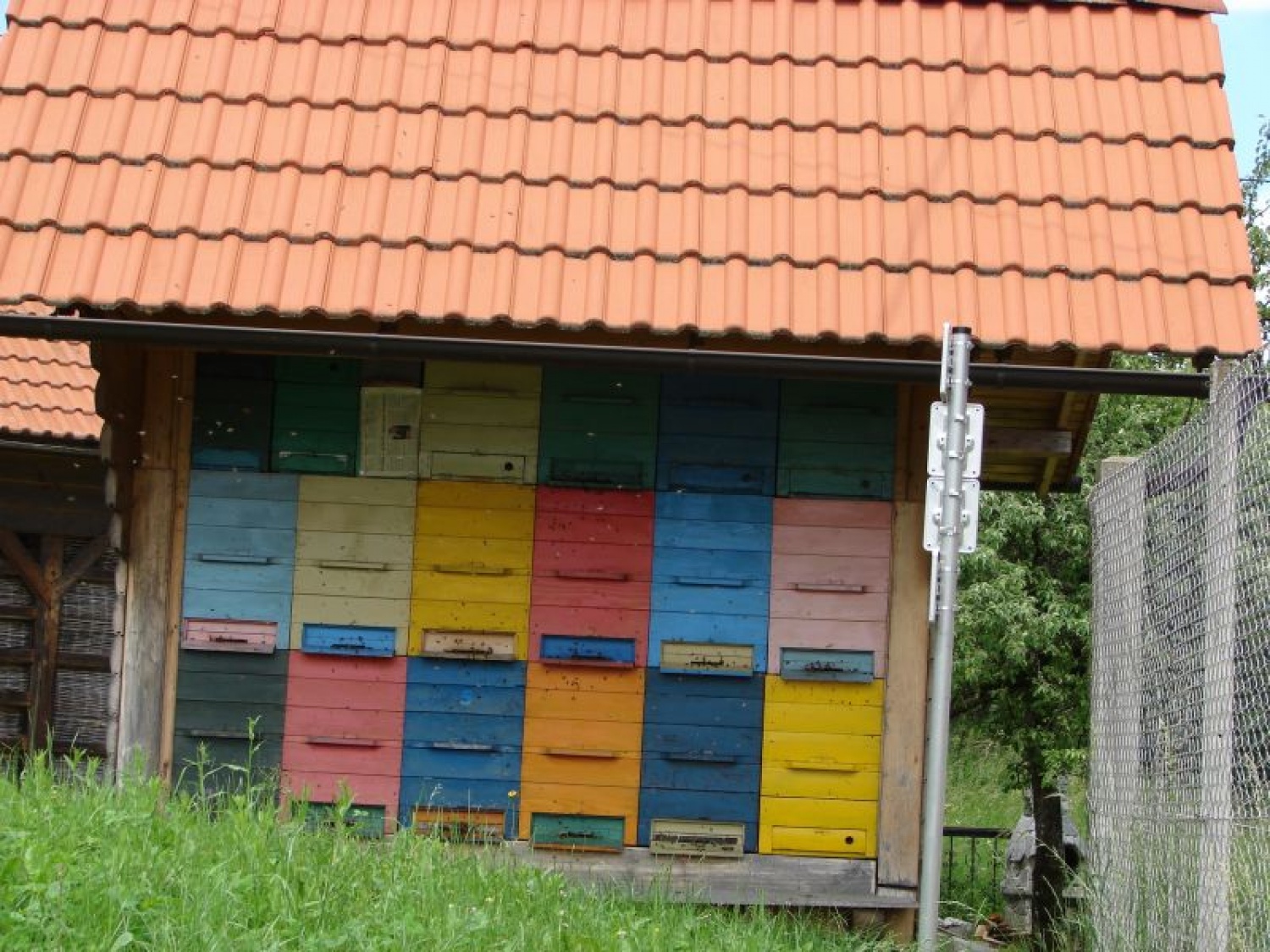 Sozvočje narave, kulture, Trubarja in skavtov