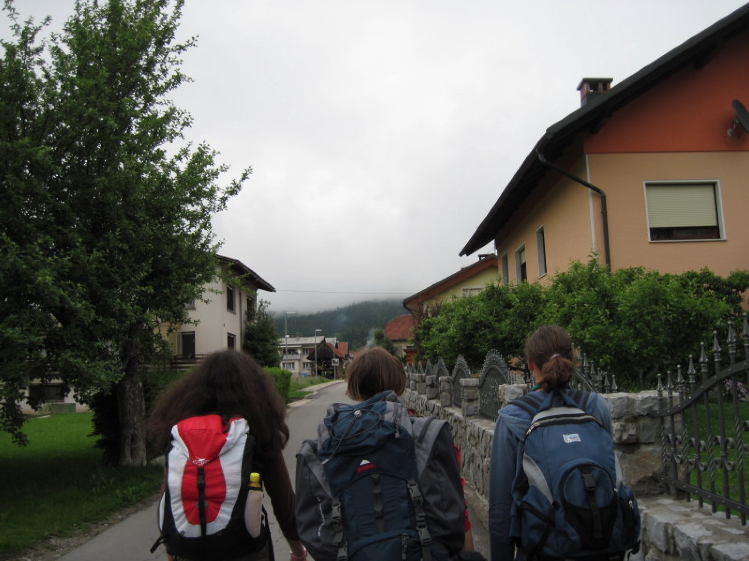 Antilope Ljubljana 3