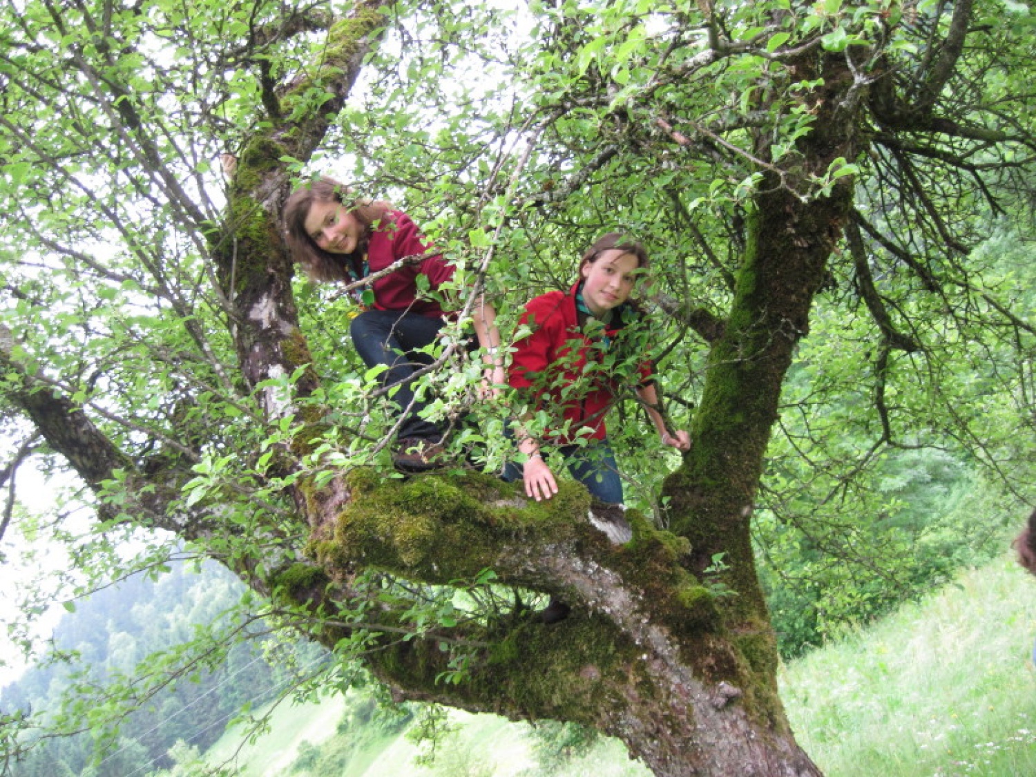 Antilope Ljubljana 3