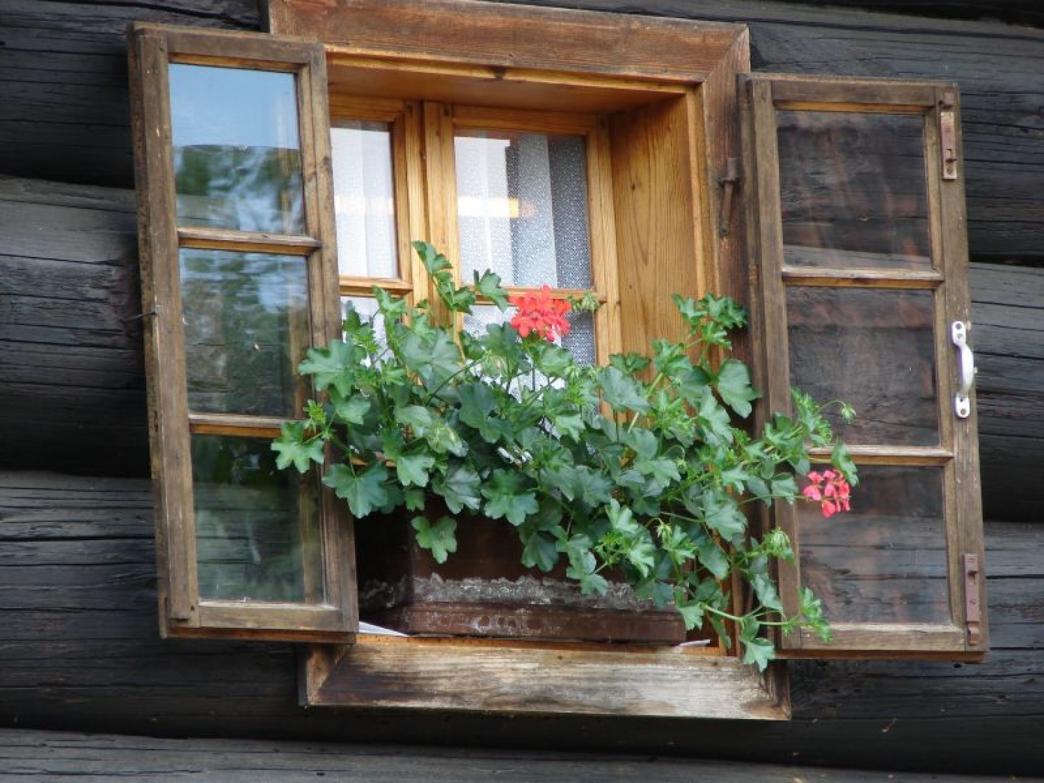 Sozvočje narave, kulture, Trubarja in skavtov