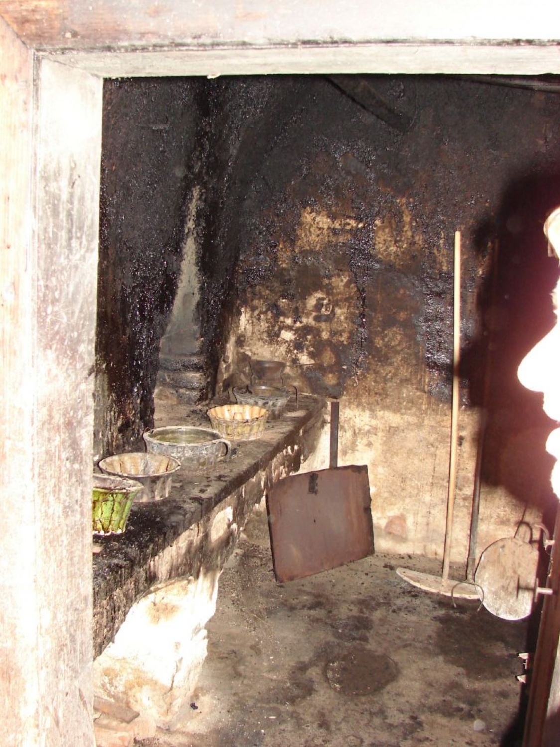 Sozvočje narave, kulture, Trubarja in skavtov