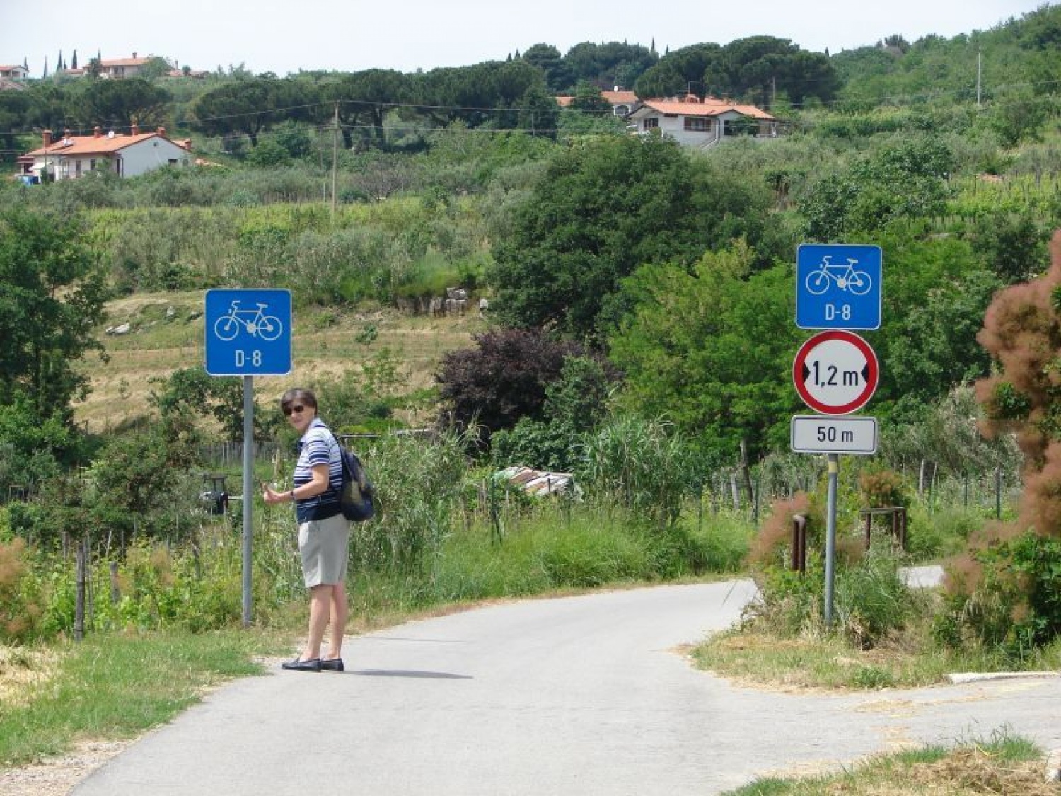 "POT PRIJATELJSTVA IN ZDRAVJA"....