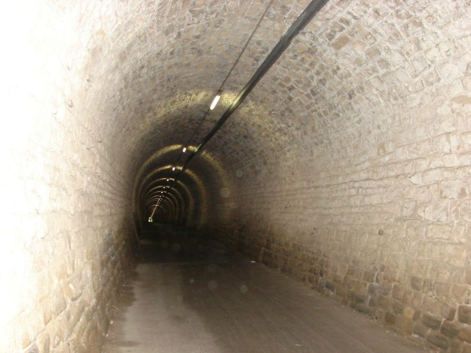 "POT PRIJATELJSTVA IN ZDRAVJA"....