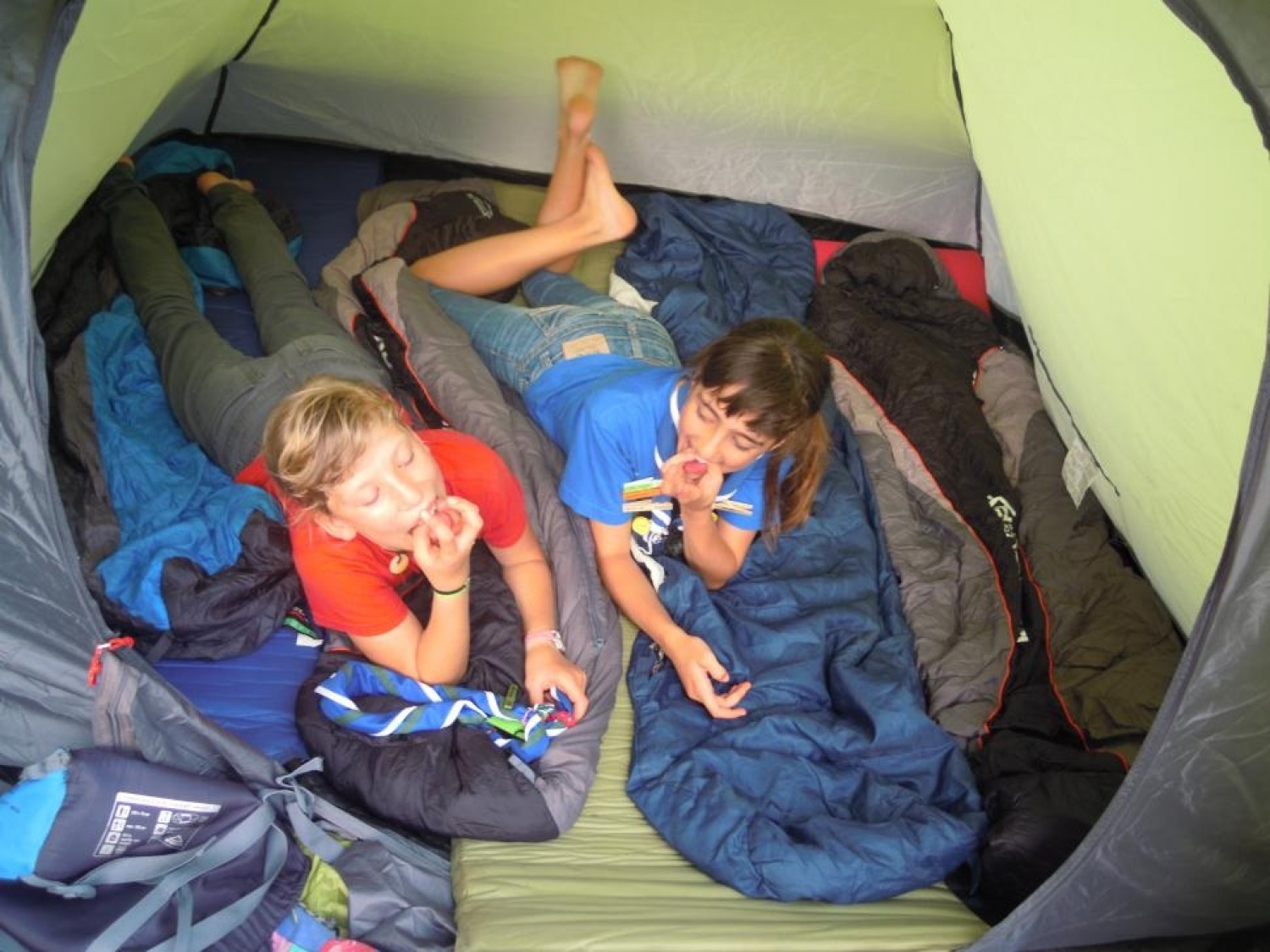 Veveričke Šentjernej 1