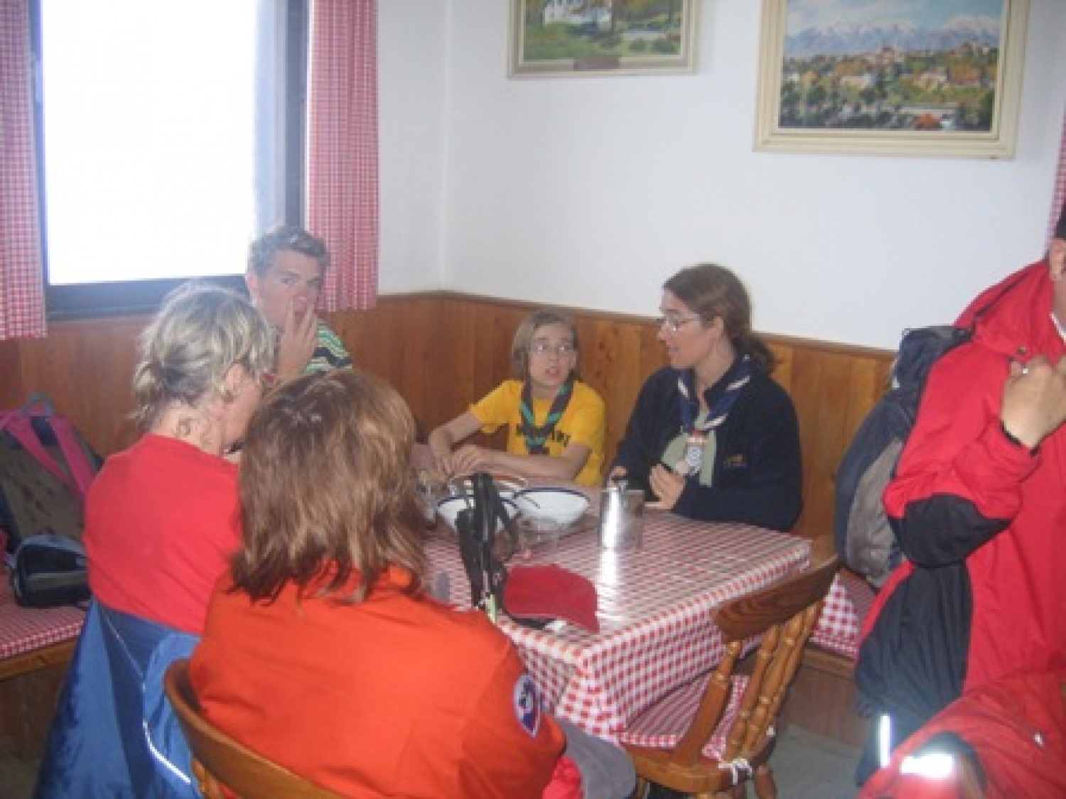 Narcise ali klučavnice krase pobočja Golice