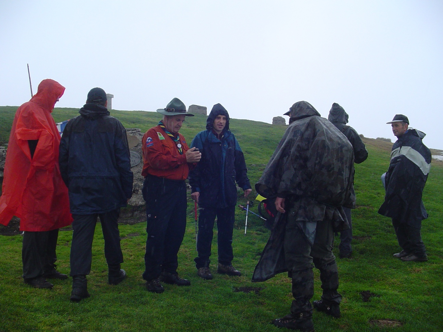 Narcise ali klučavnice krase pobočja Golice