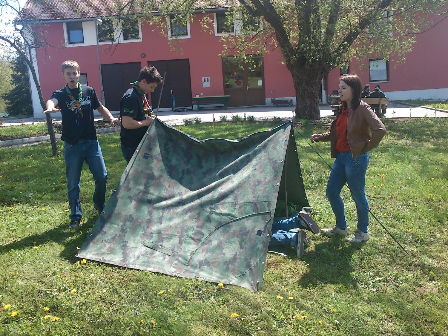 Gremo v Grmovje na obisk