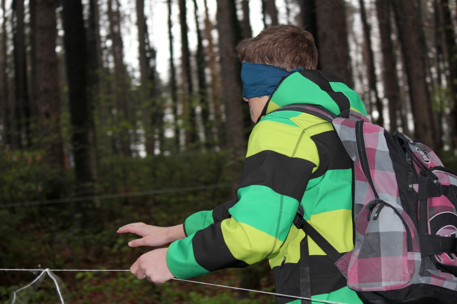 Velika dogodivščina dveh čet