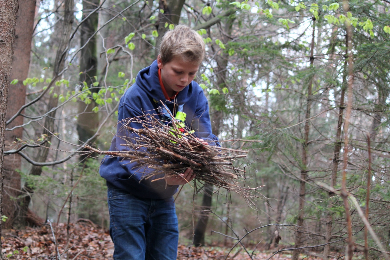 Velika dogodivščina dveh čet