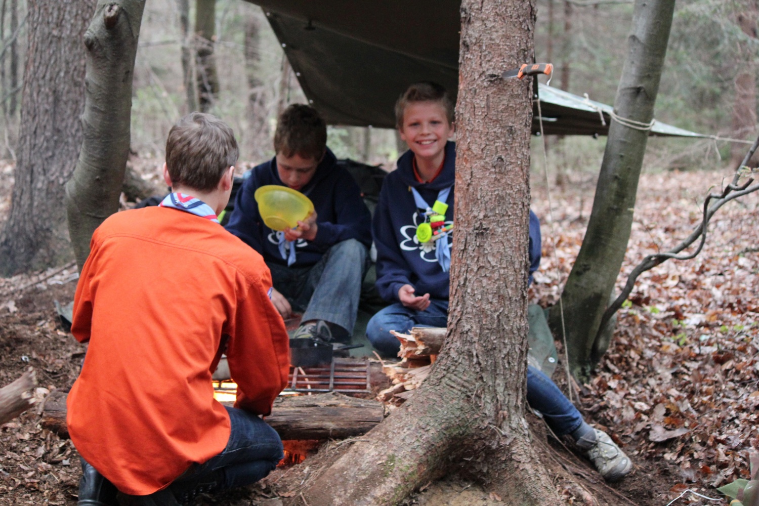 Velika dogodivščina dveh čet