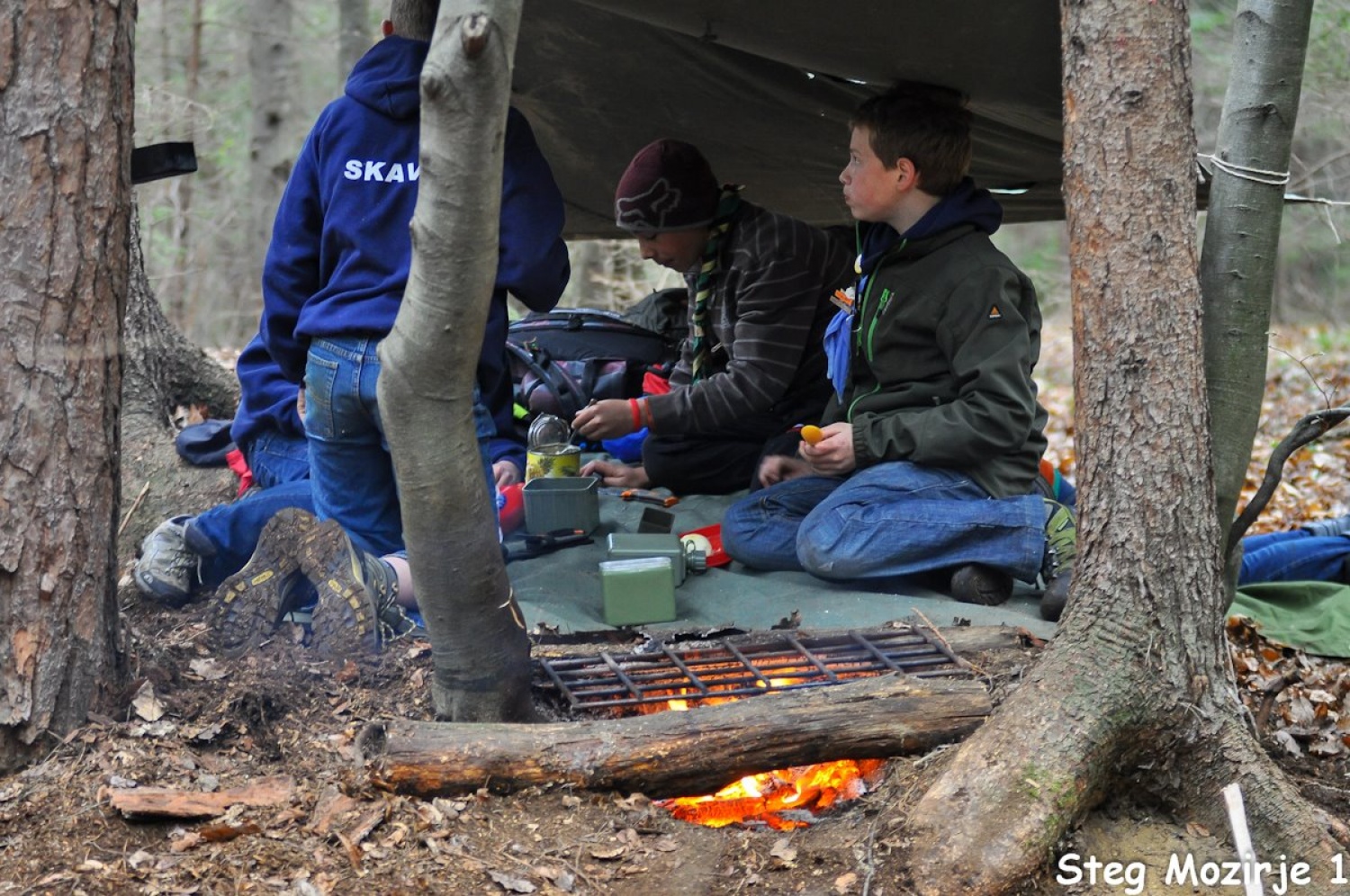 Velika dogodivščina dveh čet