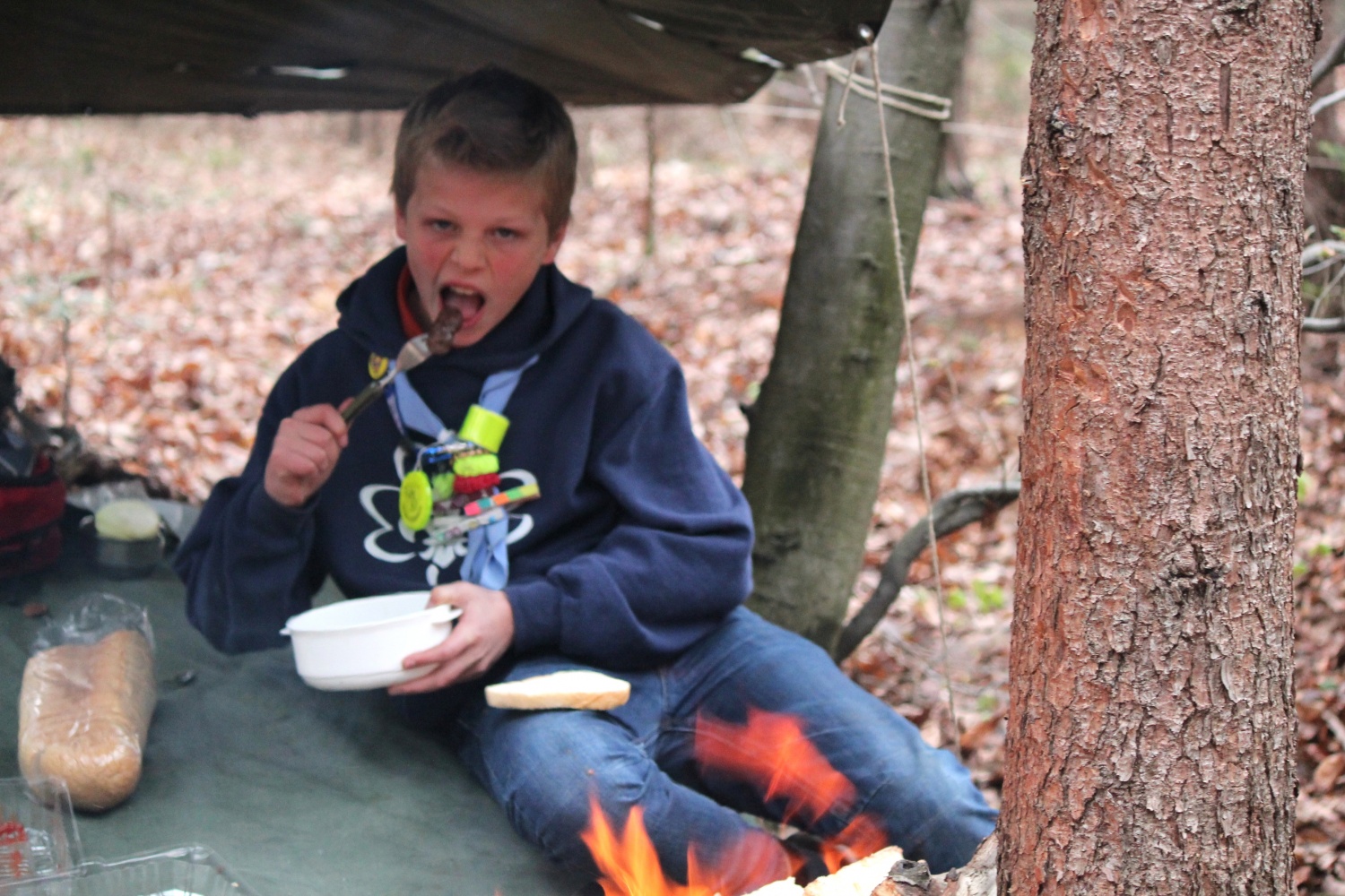Velika dogodivščina dveh čet