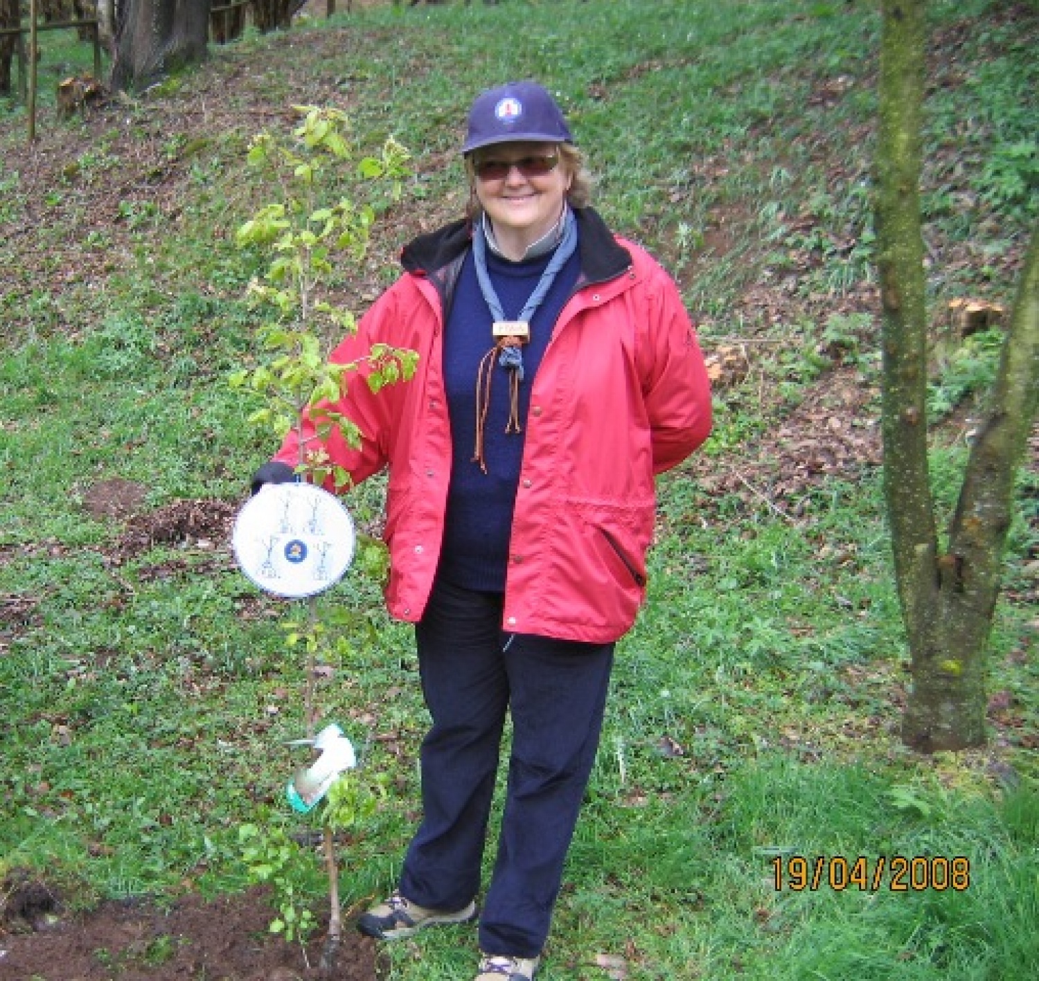 Mi skavti moramo biti kot drevesa ...