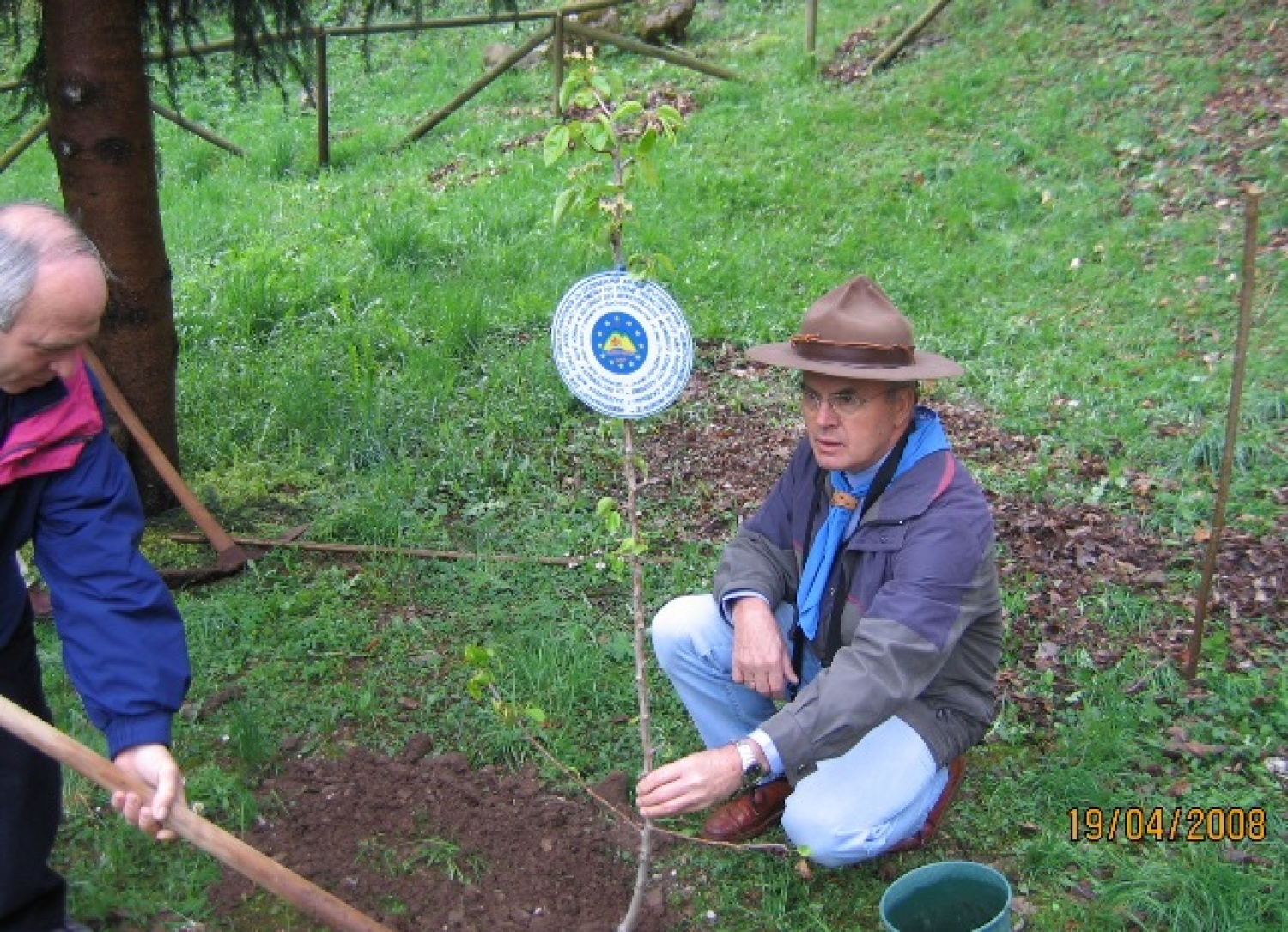 Mi skavti moramo biti kot drevesa ...