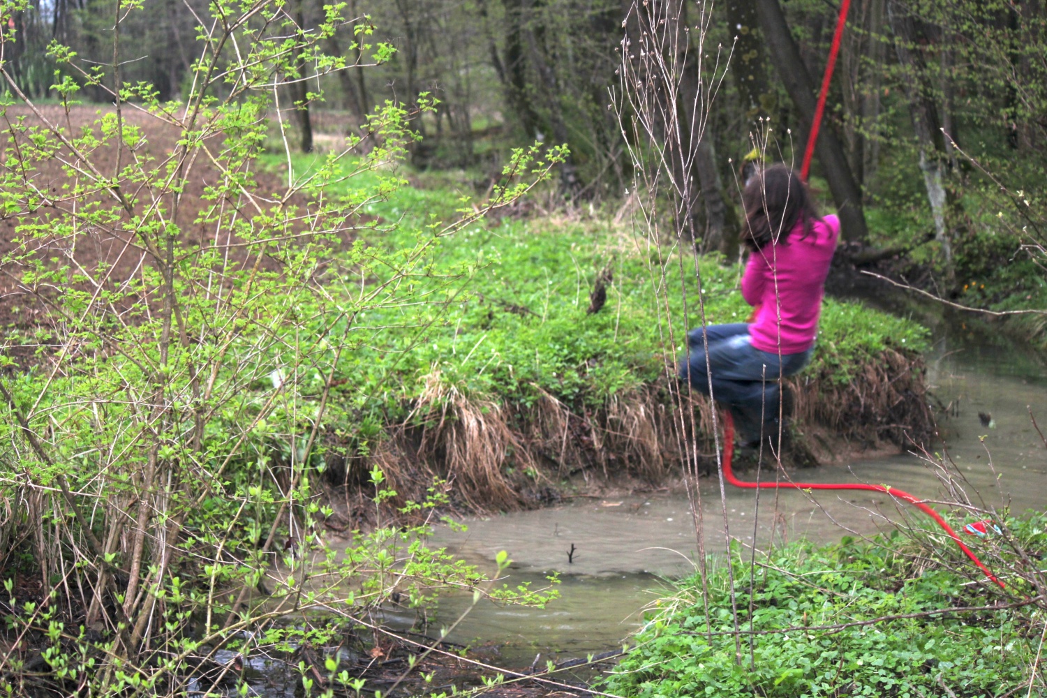 Velika dogodivščina dveh čet