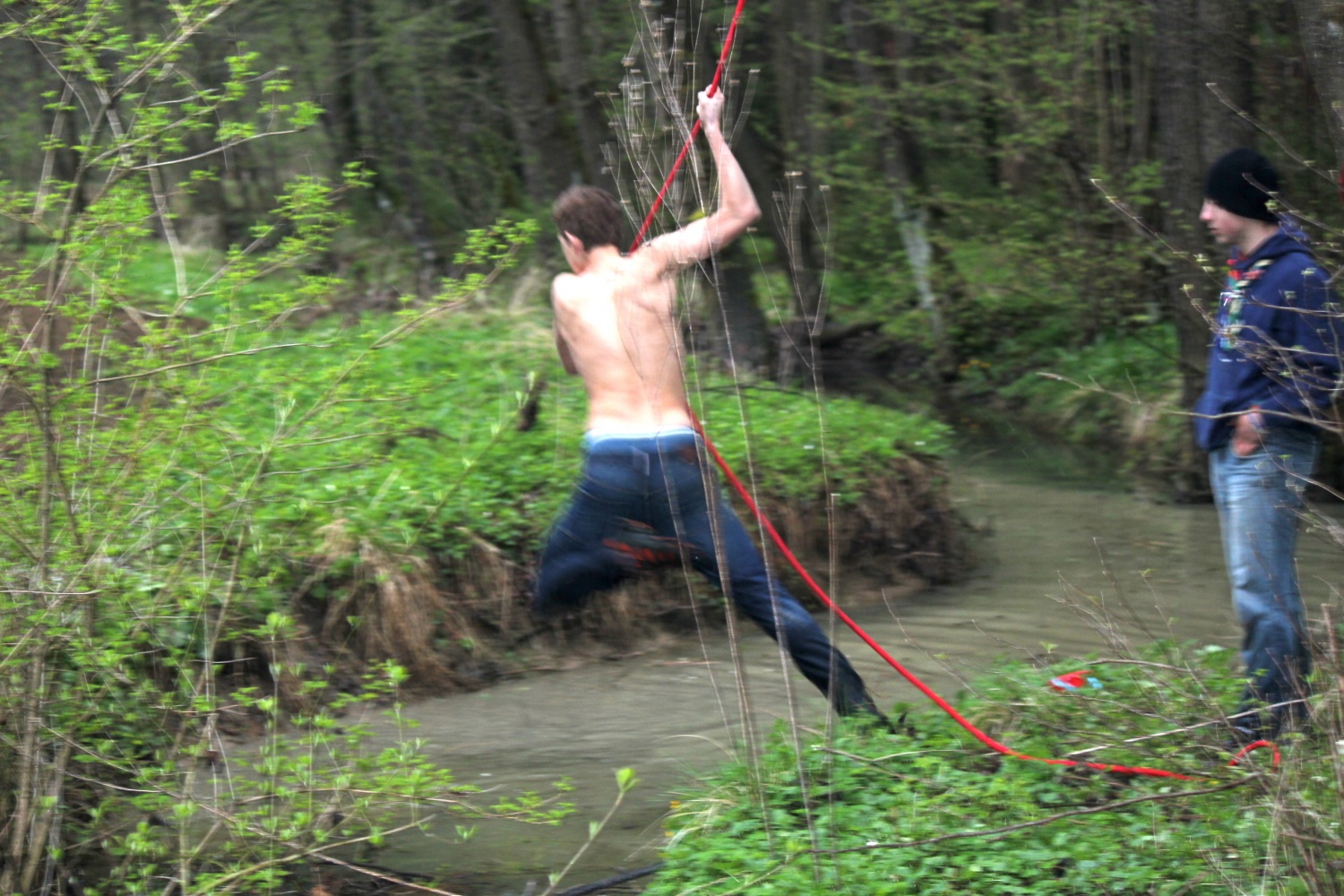 Velika dogodivščina dveh čet