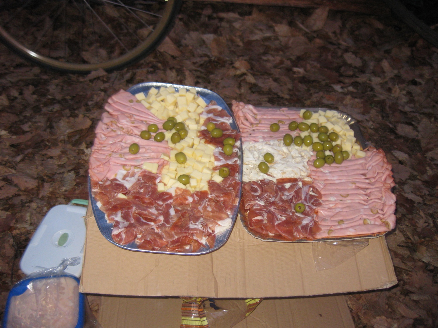 Nedeljsko Življenje v naravi popoldne