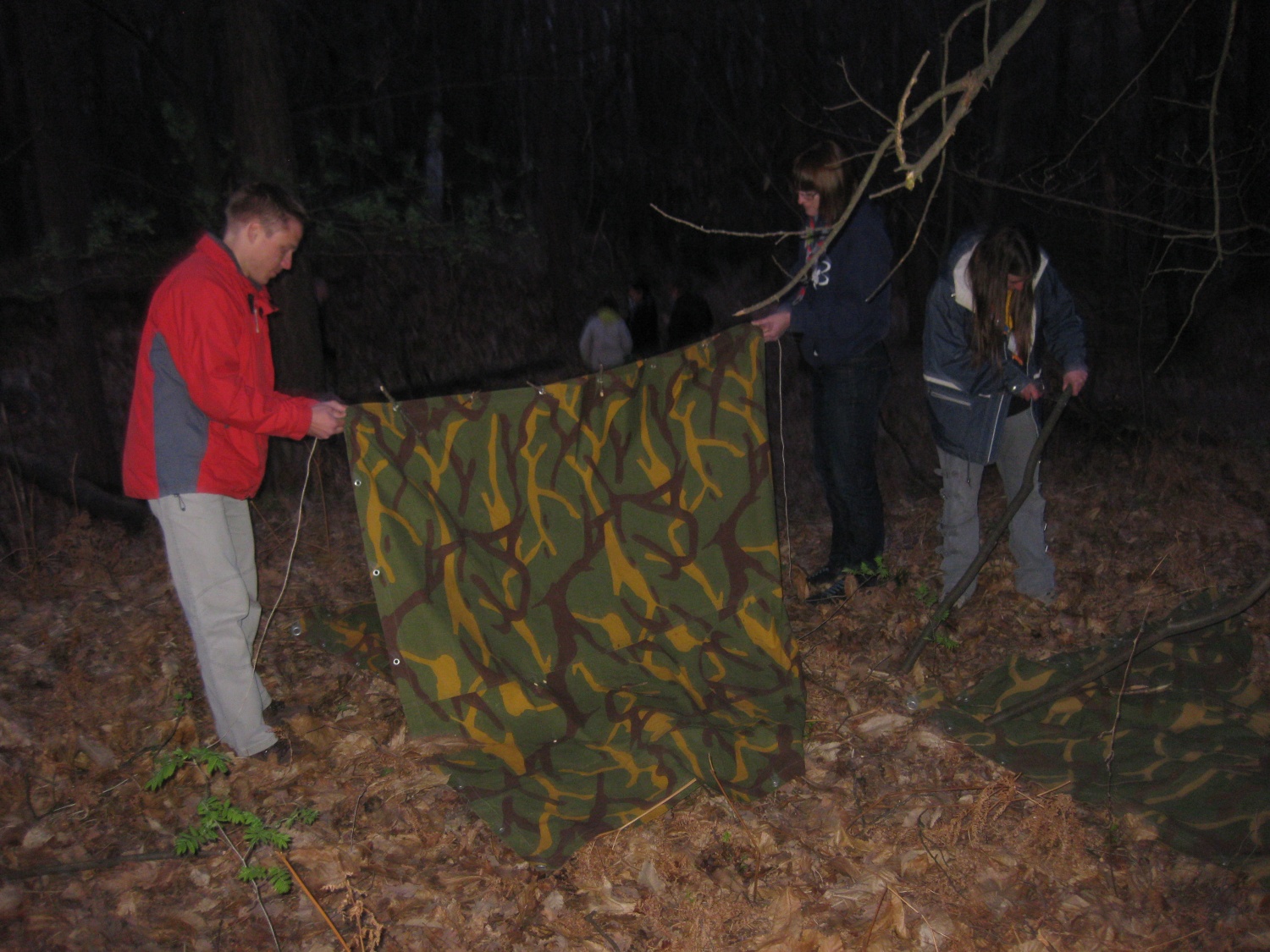 Nedeljsko Življenje v naravi popoldne