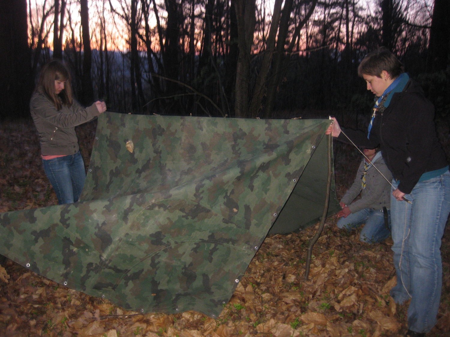 Nedeljsko Življenje v naravi popoldne