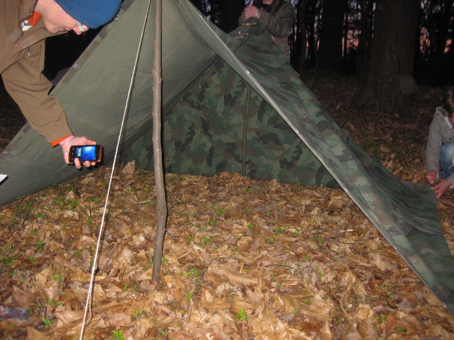 Nedeljsko Življenje v naravi popoldne
