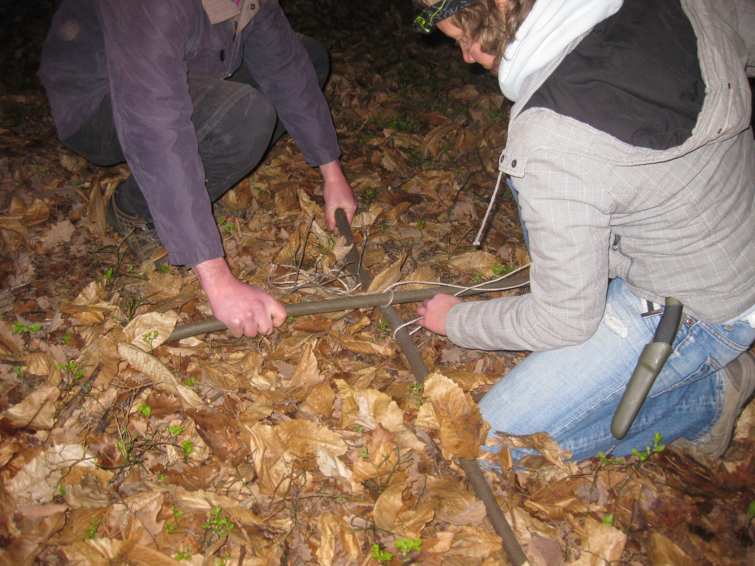 Nedeljsko Življenje v naravi popoldne
