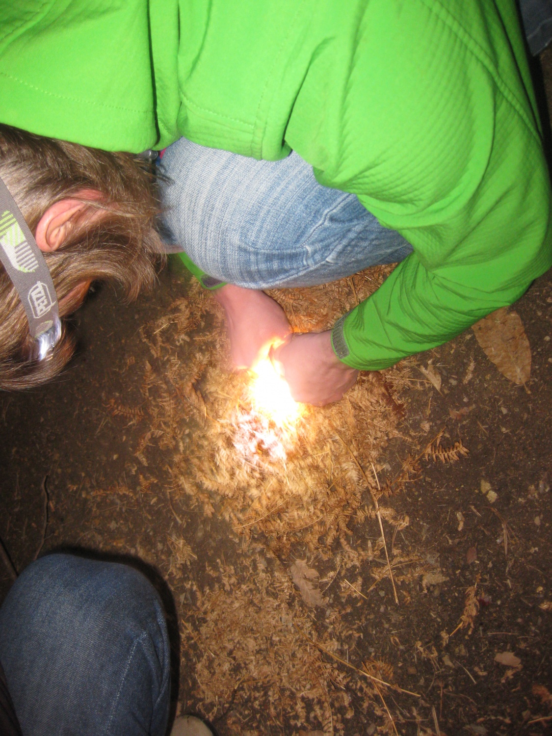 Nedeljsko Življenje v naravi popoldne