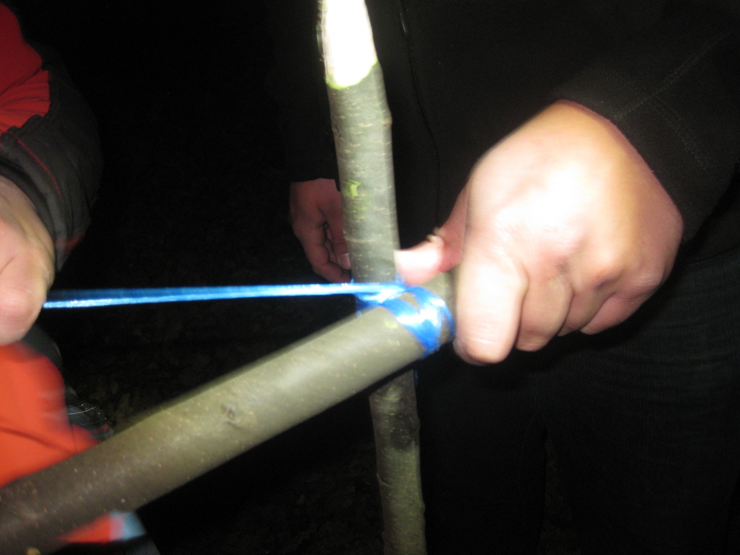 Nedeljsko Življenje v naravi popoldne