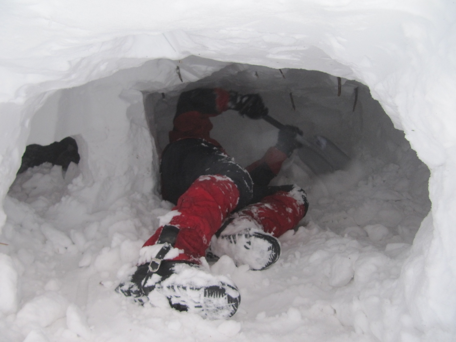 Notranjost zavetišča