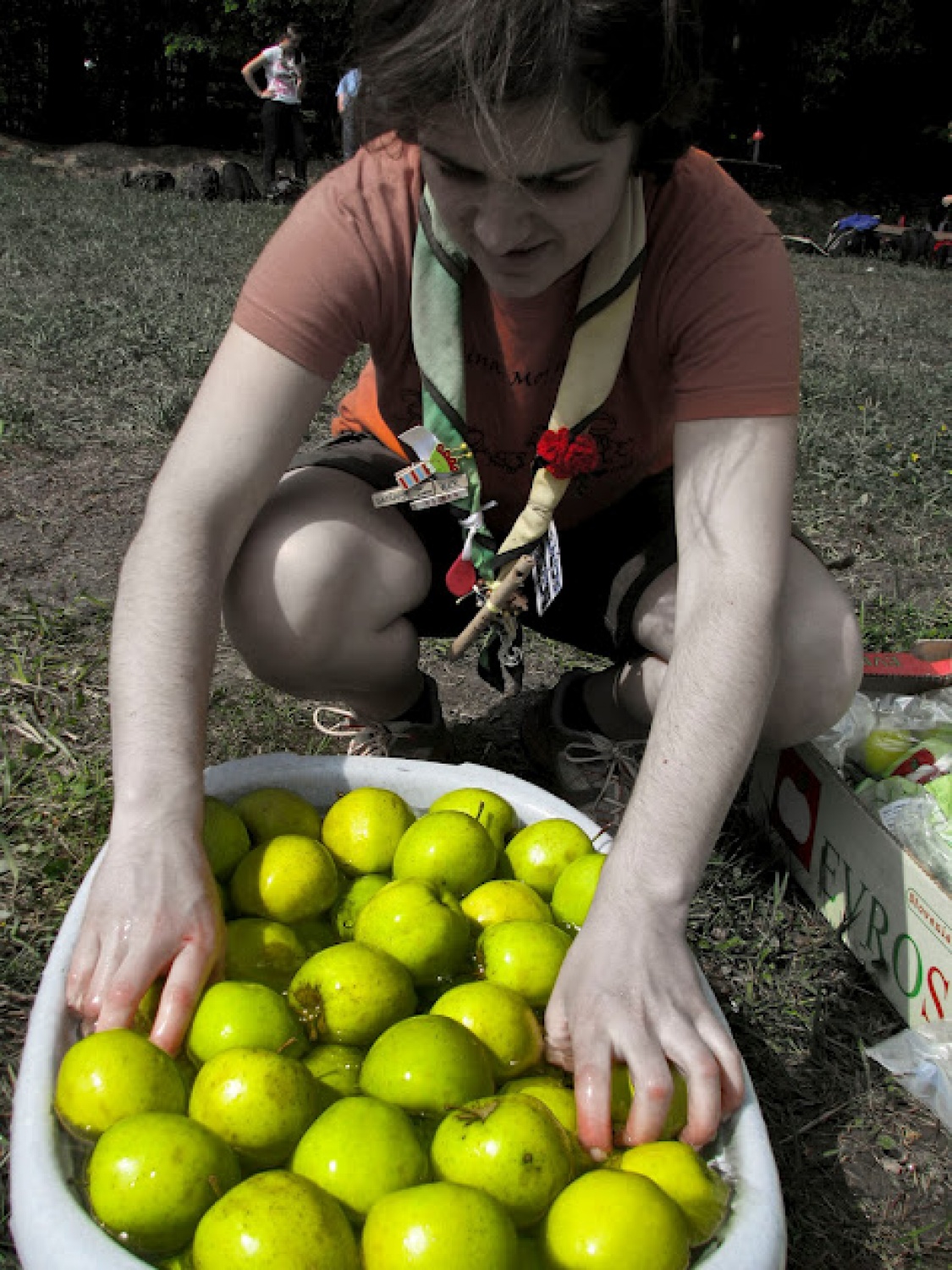 IV IZZIV 2012 - trop