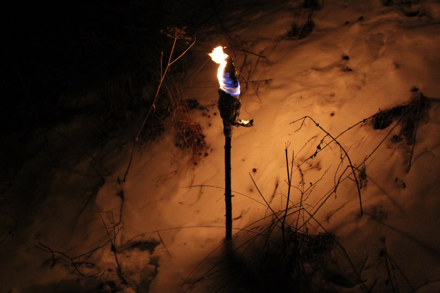 Četa Zelenega zlata pri indijancih