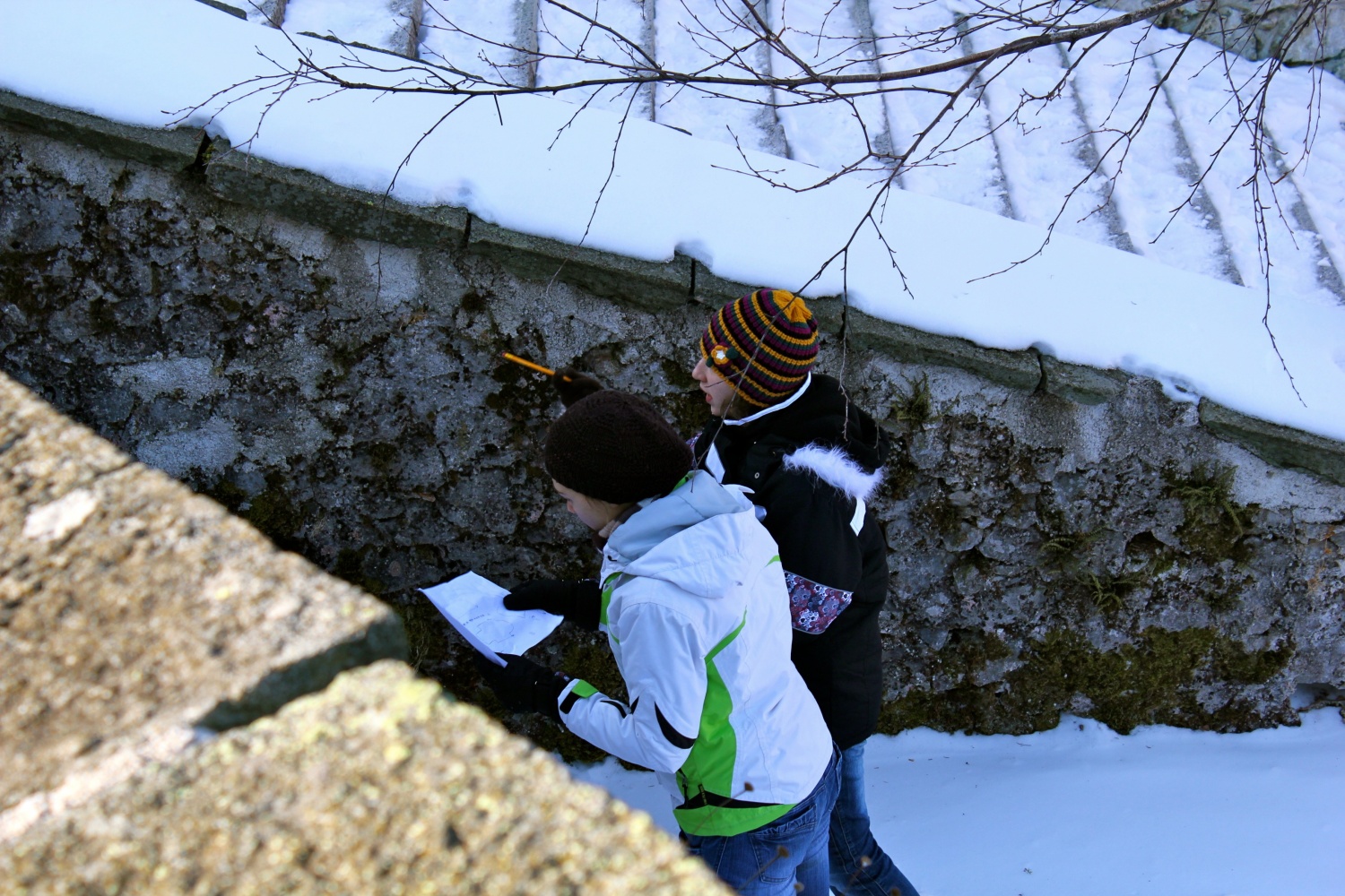 Četa Zelenega zlata pri indijancih