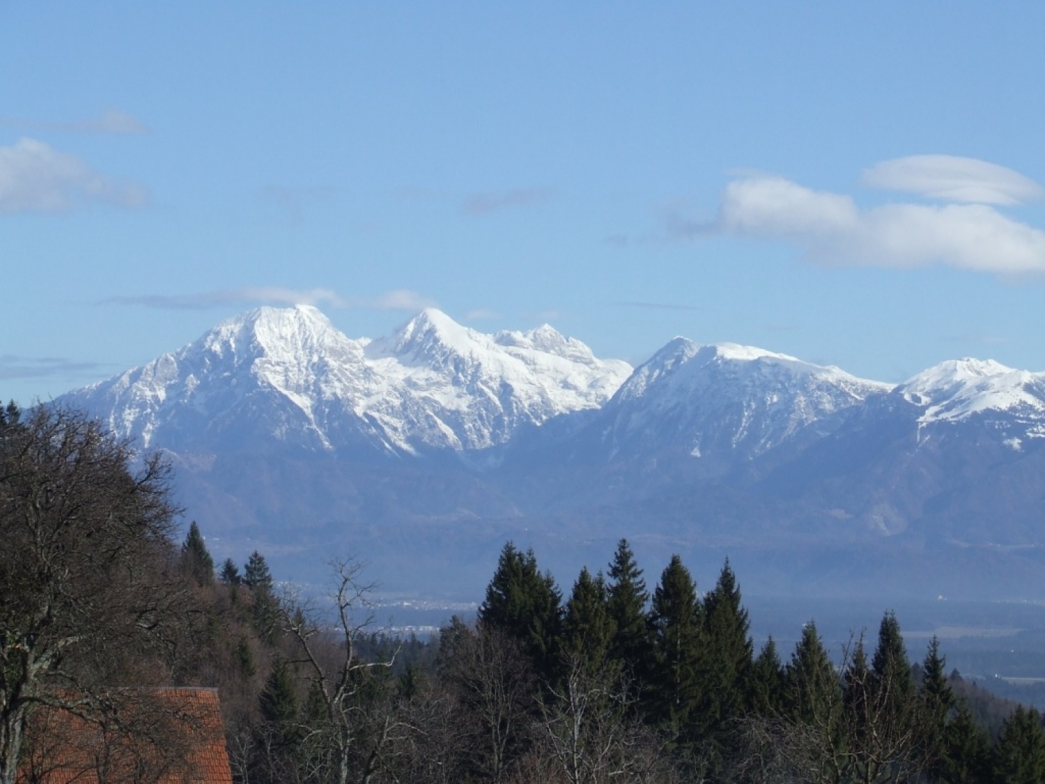 zimovanje ptujske bratovščine