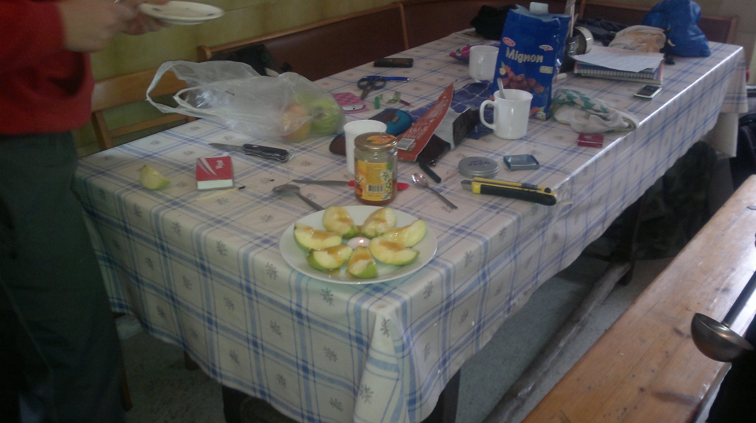 torta - jabolka z medom