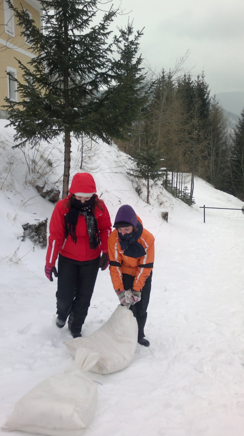 Zimska pravljica klana Zvitih lisic