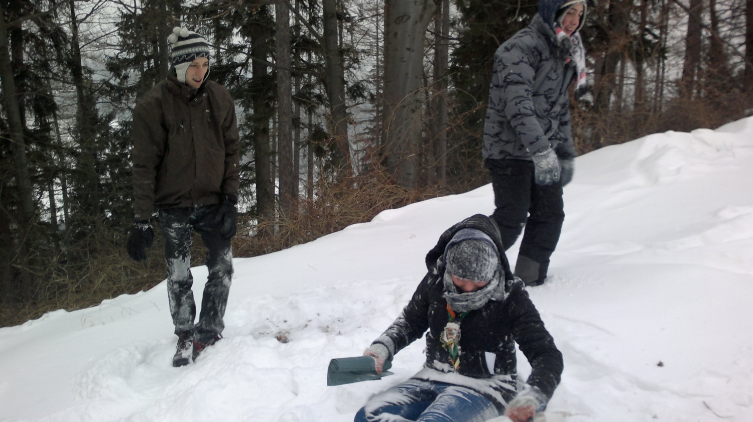 Zimska pravljica klana Zvitih lisic