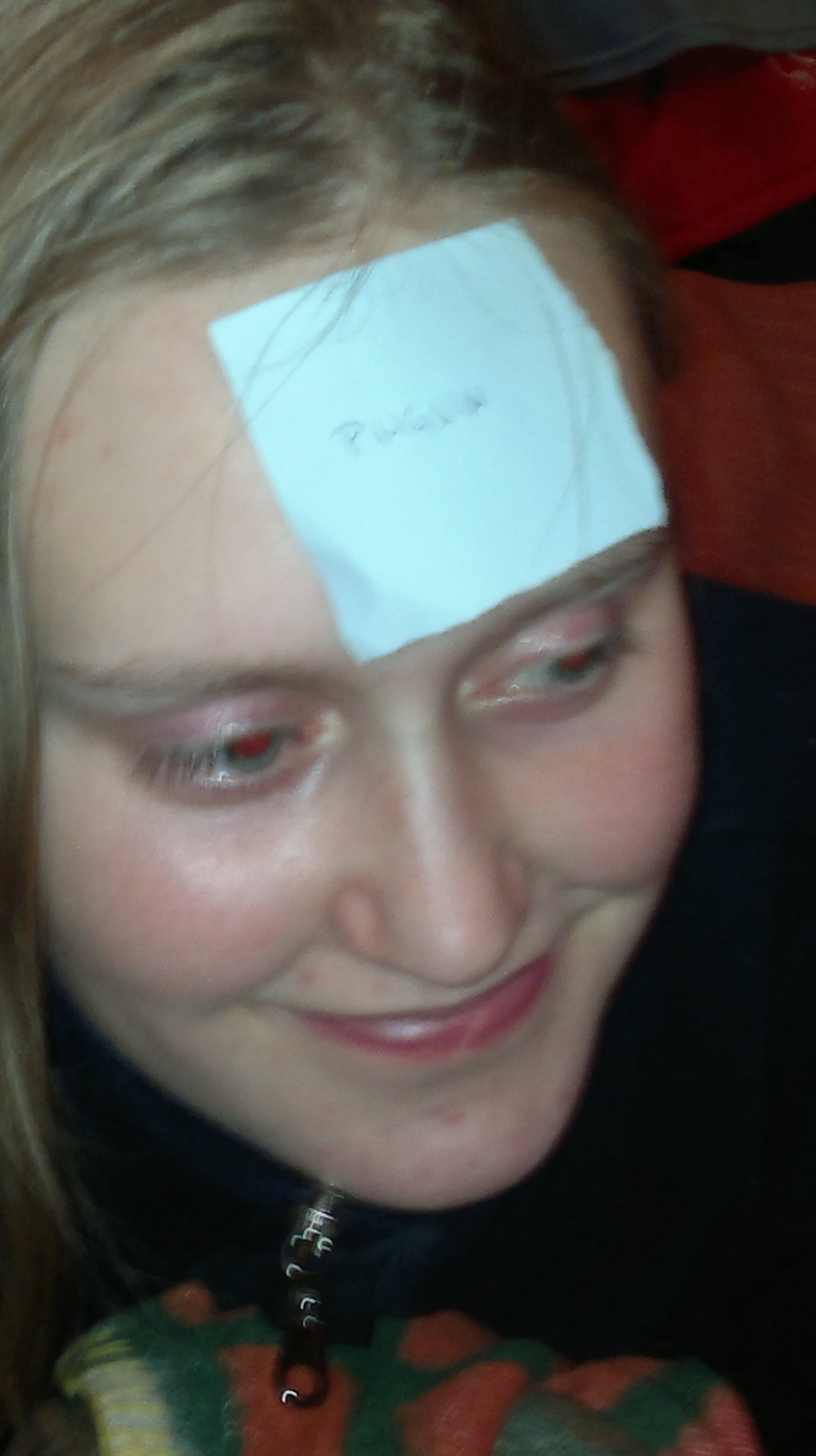 Zimska pravljica klana Zvitih lisic