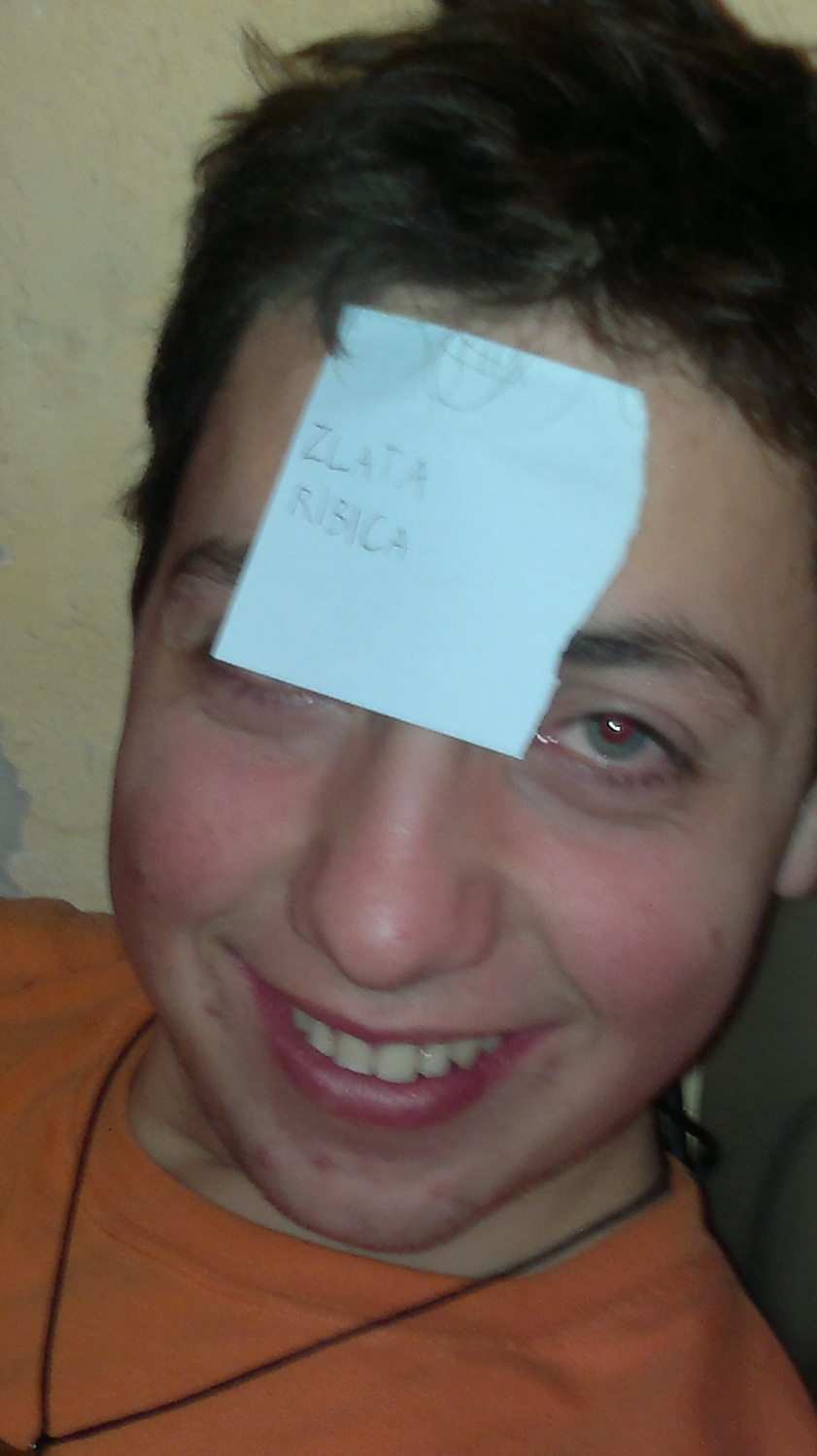 Zimska pravljica klana Zvitih lisic