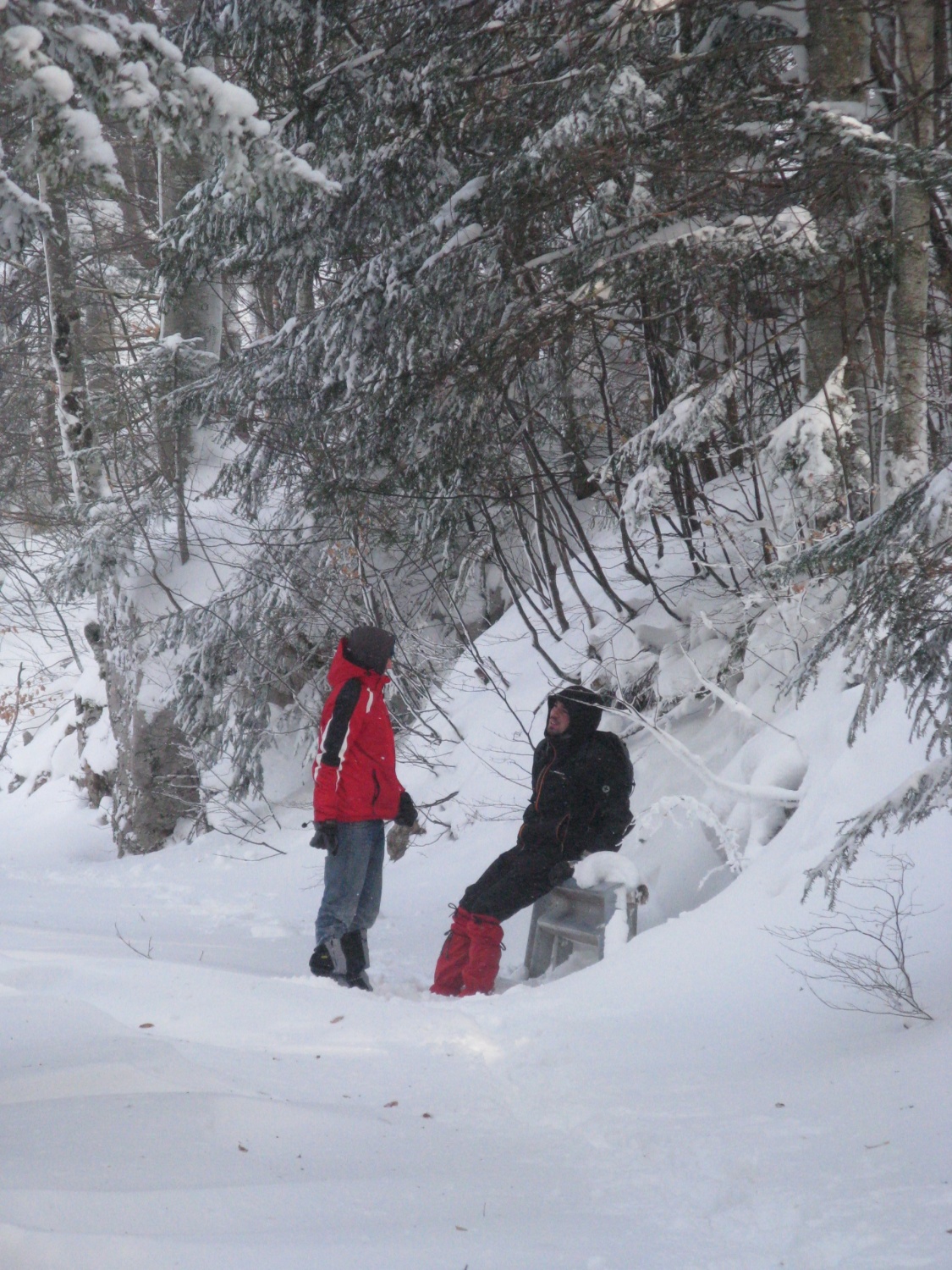 Snežnik na Francetov dan